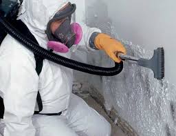 Best Airborne Mold Testing  in Mckee City, NJ